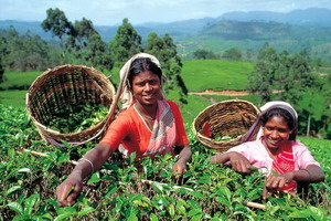 Sri Lanka - Agence de voyages Asia