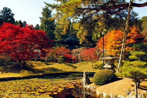 Japon – Agence de voyages Asia