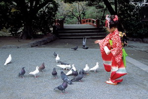 Japon – Agence de voyages Asia
