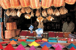 Inde – Agence de voyages Asia