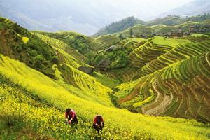 Li An Lodge Chine - Asia