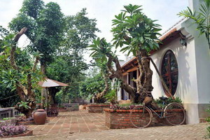 Moon Garden - Vietnam - Asia