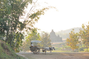 Exposition : Arakan, une Birmanie oubliée