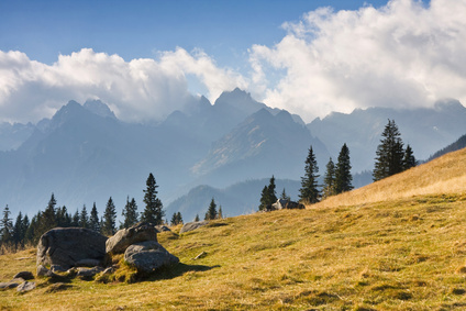 agence de rencontre pologne